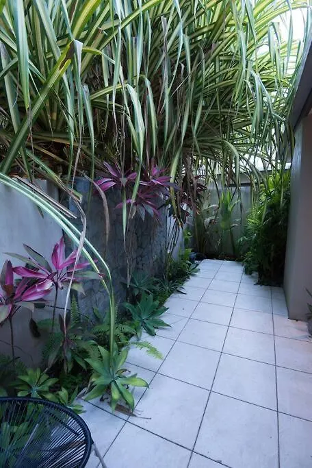 Casa vacanze Luxury Rainforest Eyrie With Panoramic Views Mossman Australia